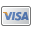 Visa Card Icon